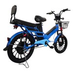 Export customized dual lithium battery electric bicycles with ultra long range and rear folding shelves